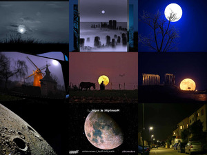 klicke hier, um die Datei herunterzuladen Moonlight at night