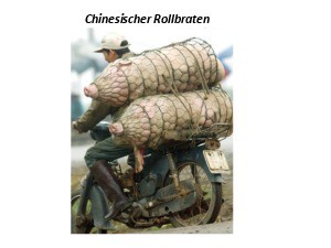 Chinesischer Rollbraten