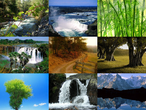 klicke hier, um die Datei herunterzuladen Beautiful nature 54