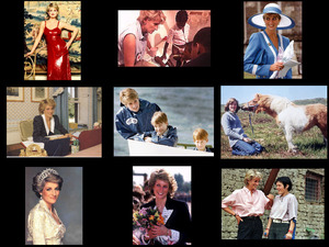 klicke hier, um die Datei herunterzuladen DIANA