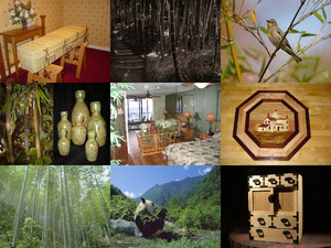klicke hier, um die Datei herunterzuladen Bamboo