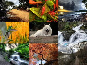 klicke hier, um die Datei herunterzuladen Beautifull Nature 67