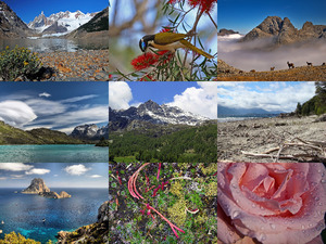 Beautiful-Nature-93.ppsx auf www.funpot.net