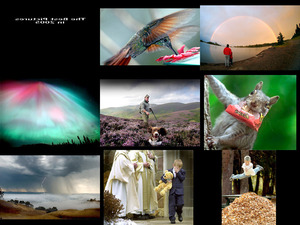 klicke hier, um die Datei herunterzuladen The best pictures of the year2005