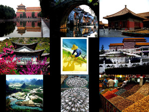 klicke hier, um die Datei herunterzuladen beauty China