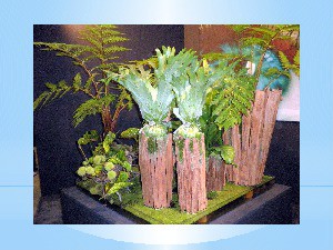 Gartenmesse Tulln -2