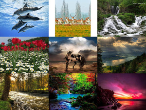 klicke hier, um die Datei herunterzuladen Schoene Bilder 39