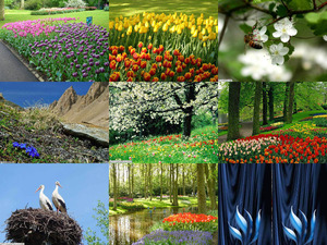 klicke hier, um die Datei herunterzuladen Natur