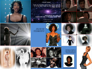 In Memoriam Whitney Houston