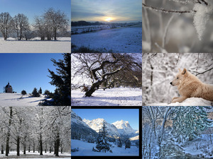 klicke hier, um die Datei herunterzuladen Winter 8