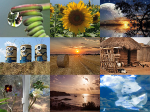 klicke hier, um die Datei herunterzuladen Schoene Bilder 20