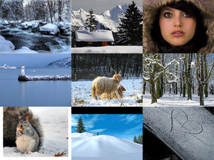 klicke hier, um die Datei herunterzuladen Winter 7