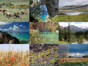 klicke hier, um die Datei herunterzuladen Beautiful Nature 92