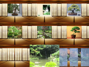 Japanese Gardens