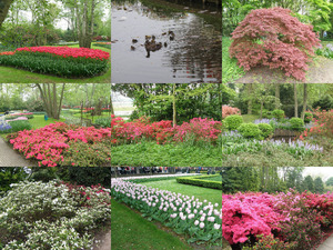 Keukenhof 2 EB 2014