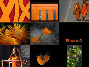 Orange 15