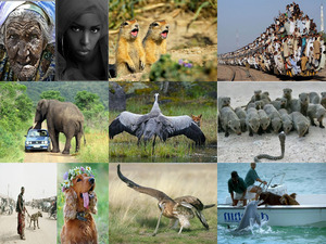 klicke hier, um die Datei herunterzuladen Cool pictures
