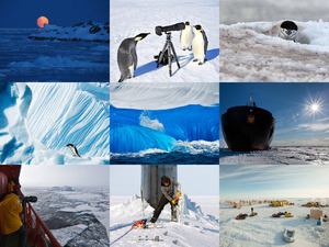 klicke hier, um die Datei herunterzuladen arctic and antarctic