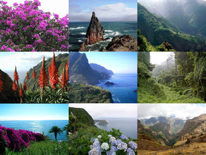klicke hier, um die Datei herunterzuladen Madeira