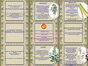 klicke hier, um die Datei herunterzuladen Tout sur les fines herbes
