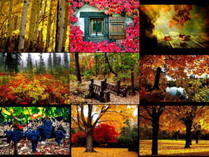 Bilder vom goldenen Oktober