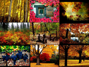 klicke hier, um die Datei herunterzuladen Bilder vom goldenen Oktober