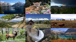klicke hier, um die Datei herunterzuladen Yellowstone m