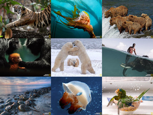 klicke hier, um die Datei herunterzuladen National Geographic 2010