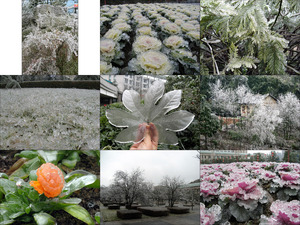 Nach dem Eisregen in Sd-China