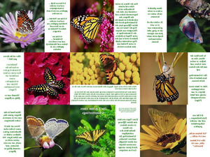 klicke hier, um die Datei herunterzuladen was der Schmetterling uns lehrt