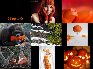 Orange-79.pps auf www.funpot.net