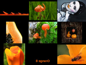 Orange 8
