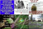 . auf www.funpot.net