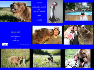 klicke hier, um die Datei herunterzuladen Grizzly
