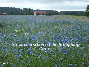 klicke hier, um die Datei herunterzuladen A225 Jesus sagt