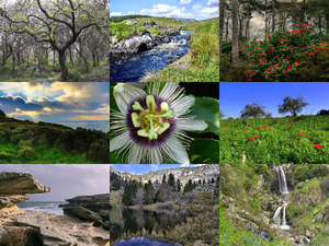 klicke hier, um die Datei herunterzuladen Beautiful Nature 99