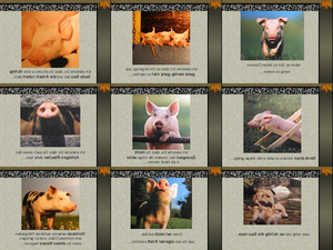 klicke hier, um die Datei herunterzuladen Glücks-Schwein