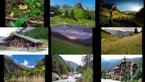 klicke hier, um die Datei herunterzuladen Tirol 2