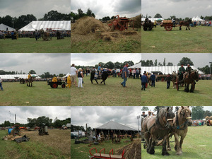 Boerendag Rijsbergen