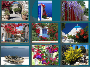 Ein Platz in meinem Herzen - Blumen in Griechenland
