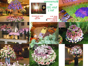 Blumenmesse Tulln 1