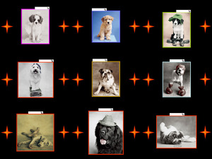 klicke hier, um die Datei herunterzuladen Dogs