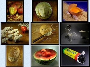 klicke hier, um die Datei herunterzuladen FruitArt - Kunst mit Früchten
