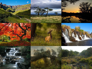 klicke hier, um die Datei herunterzuladen Beautiful Nature 87