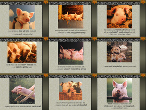 klicke hier, um die Datei herunterzuladen Glücks Schweine