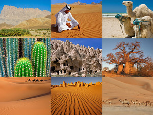 Woestijnen