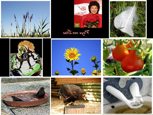 klicke hier, um die Datei herunterzuladen Bilder-Galerie vom 20062013 2