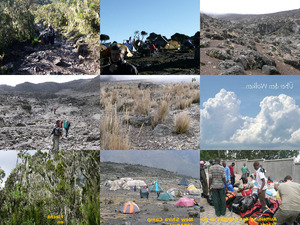eine Tour auf den Kilimandscharo