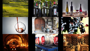 Wein-2.ppsx auf www.funpot.net