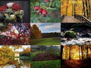 klicke hier, um die Datei herunterzuladen Herfst 10